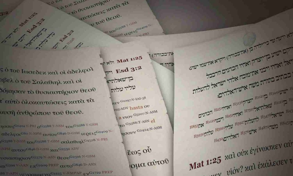 In which language was the Bible first written