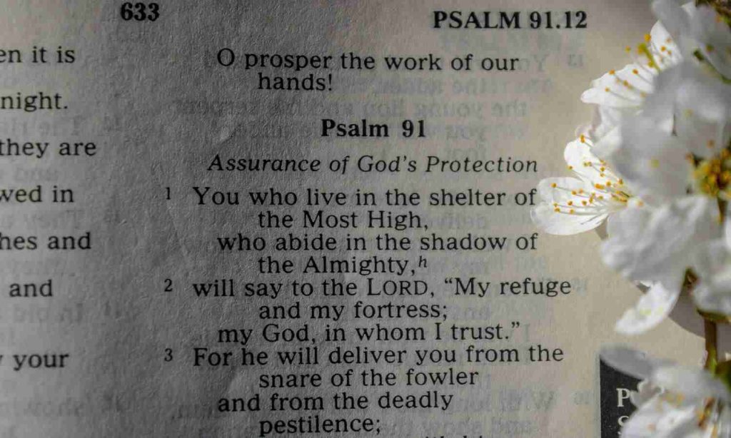 Old Testament Bible books