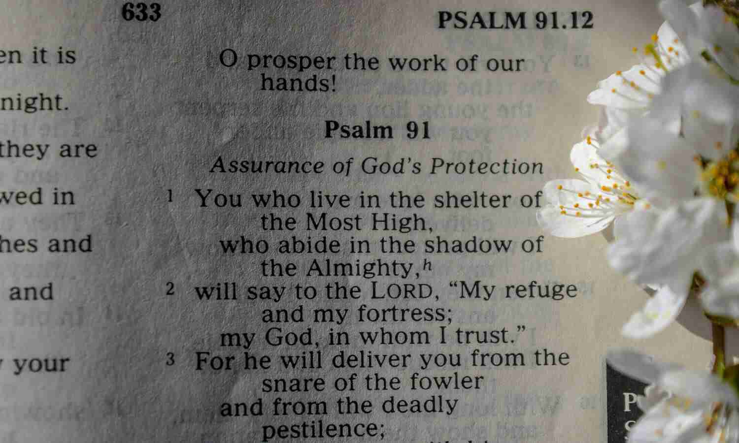 Old Testament Bible books