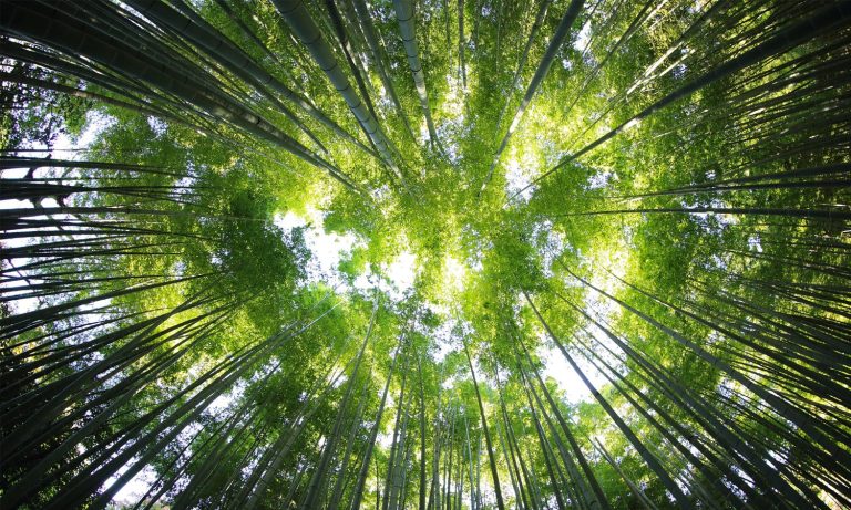 How to grow spiritually?