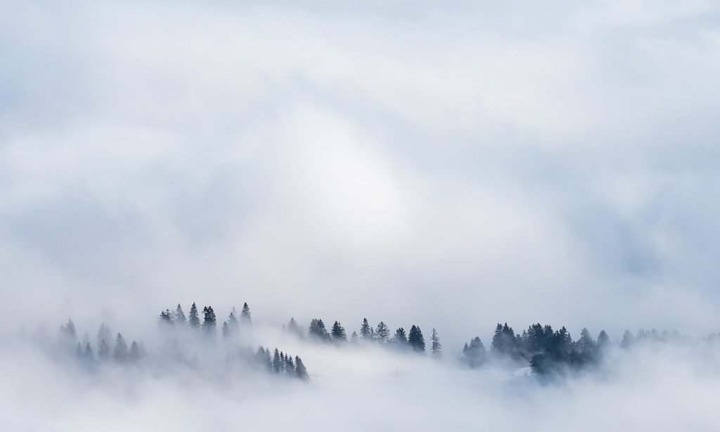 Did Jesus have limitations?