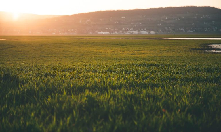 Why is Jesus called the second Adam?