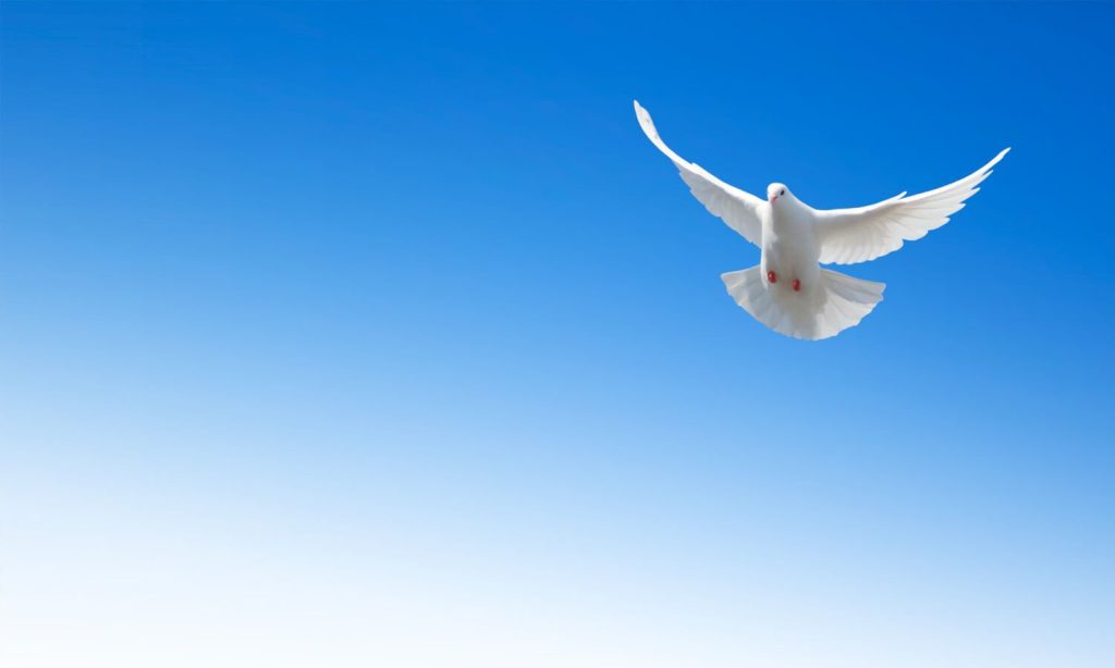 Who is God the Holy Spirit?