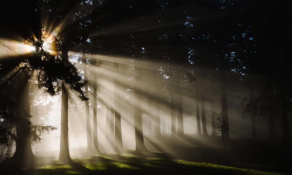 Why do people love darkness more than light?