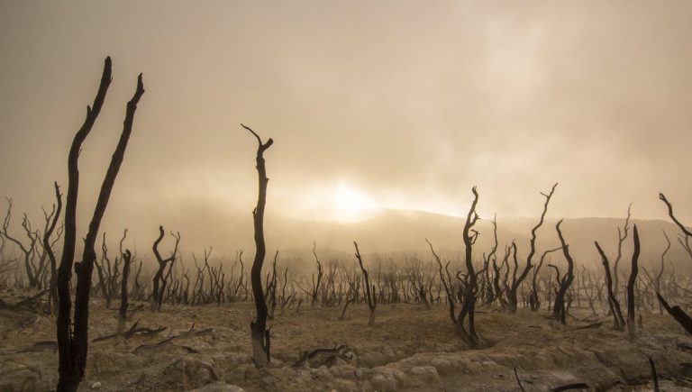 Why does God hate sin?